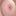 CougarSexClub的网站图标